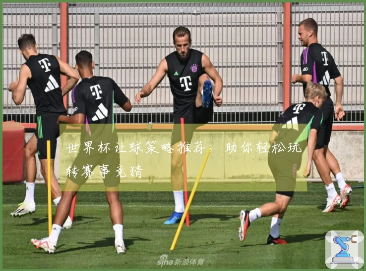 世界杯让球策略推荐，助你轻松玩转赛事竞猜