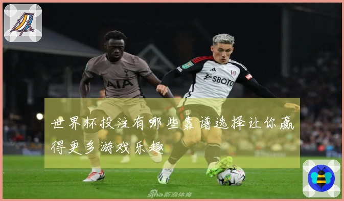 世界杯投注有哪些靠谱选择让你赢得更多游戏乐趣