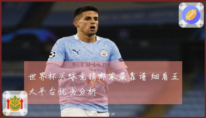 世界杯买球竞猜哪家最靠谱 细看五大平台优劣分析