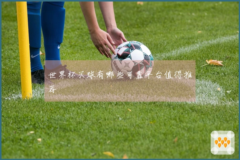 世界杯买球有哪些可靠平台值得推荐