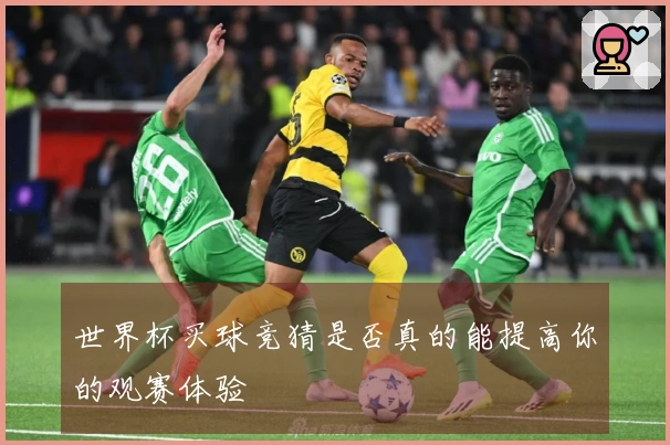 世界杯买球竞猜是否真的能提高你的观赛体验