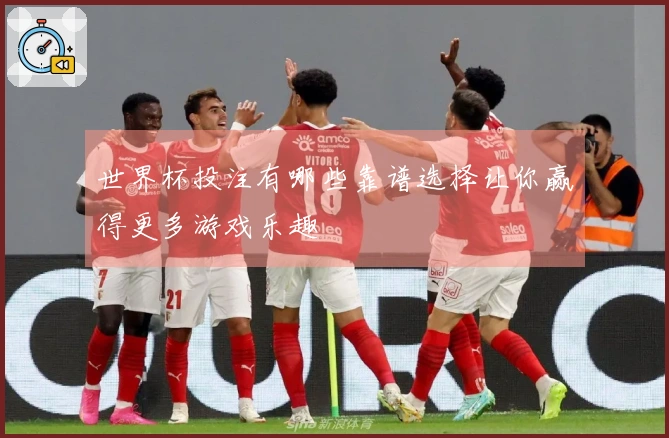 世界杯投注有哪些靠谱选择让你赢得更多游戏乐趣