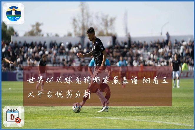 世界杯买球竞猜哪家最靠谱 细看五大平台优劣分析